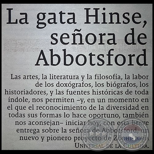 LA GATA HINSE, SEÑORA DE ABBOTSFORD - Por JULIÁN SOREL - Domingo, 27 de Agosto de 2017